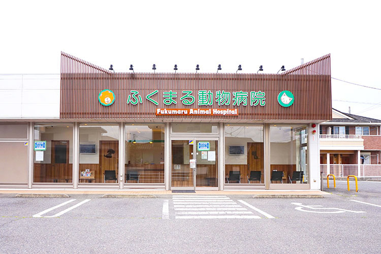 アクセス